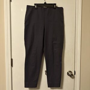 Grey Everlane Pants size 14
